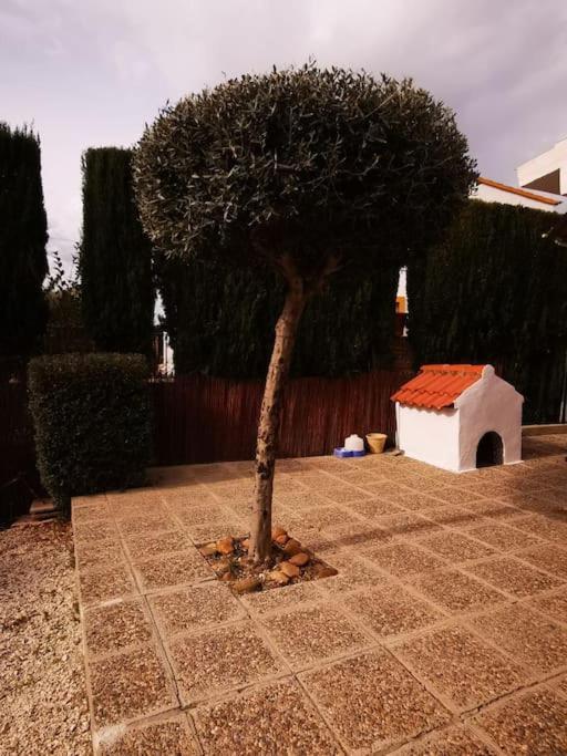 Paraiso Ferienhaus Écija